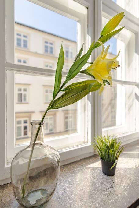 Royal Route Apartment Fully Equipped Krasków Exterior foto